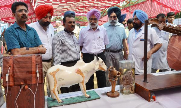 Dr. A. S.  Nanda, Vice Chancellor and other officers of the University visited the exhibit stalls on 2nd day of Pashu Palan Mela